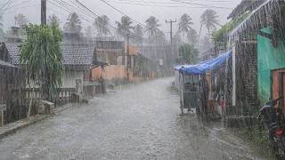 EXTREME WEATHER ⛈️⛈️⚡ MOST INTENSE HEAVY RAIN & WINDSTORM | WALKING IN AN INDONESIAN VILLAGE⚡⚡ screenshot 2