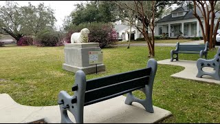 GMA Dave Trips: The Historic Azalea Trail