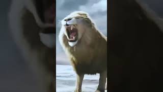 Lion Status Lion King Attitude Status Viral Lion Video Alex Ang Rus Song 