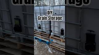 DIY Grain Storage for Livestock: Mouseproof Waterproof IBC Tote Storage for 4H cow food