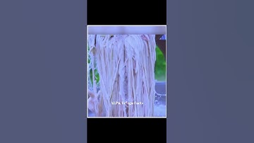 How Are Violin Strings Made! |😲😲| #shorts