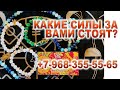 ❤️Какие Силы за вами стоят🎁 Помощь Богинь🕯 Послание💯 Вам нужно это слышать и получить благословение🙏