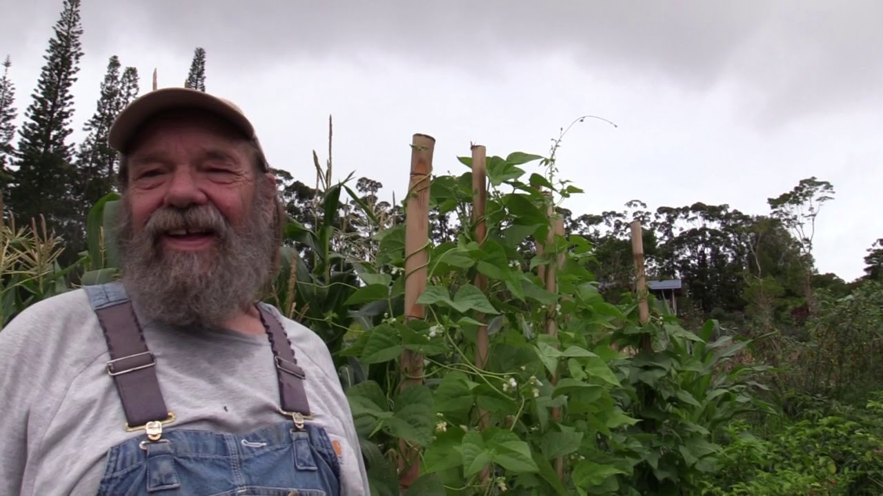 Vegetable Seeds for Hawaii YouTube