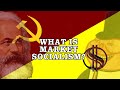 What Is Market Socialism?