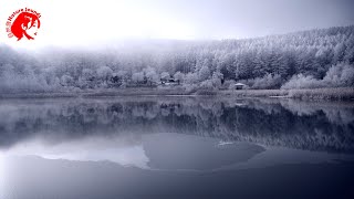 Splendid Photography Of Winter, Sound Of Snowfall & Soothing Music- Sleep, Relax, Meditation, Study Splendid Photography Of Winter, Sound Of Snowfall & Soothing Music- Sleep, Relax, Meditation, Study