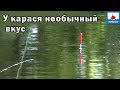 Эта необычная арома СРАБОТАЛА! Рыбалка на карася на поплавок. Рыбнадзор лютует!