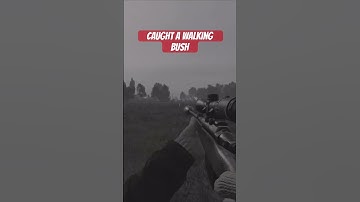 Caught A Walking Bush-DayZ Console PS5 #dayz #dayzgamers #gaming #arma3