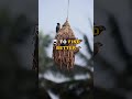 The Owl That Travels North In Summer