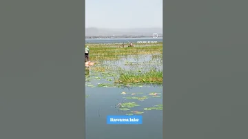 Vacation Time Hawassa Sidama Ethiopia Beliefheals Changeyourmindsetchangeyourlife Beliefheals 