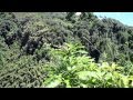 Maui Makahiku Falls