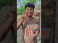 Skills: SMART ideas and Usefulin forest#useful #ideas #smart #shorts #camping