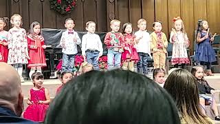 Avery's Christmas Show