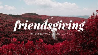✶ Travel Vlog #2 ✶ Friendsgiving in Tulalip, WA 2017