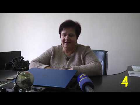 მანანა გოგოლაძე თანამდებობას ტოვებს  10- 12- 2018