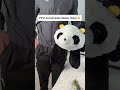Плюшевый мишка ♥️ артикул на Яндекс маркет:YM10225946 (не забудь в поиске вписать YM)
