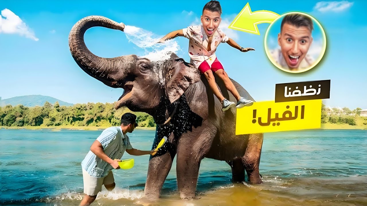 تنضبف أكبر فيل في تايلند 🐘 bougassaaa VLOG #7