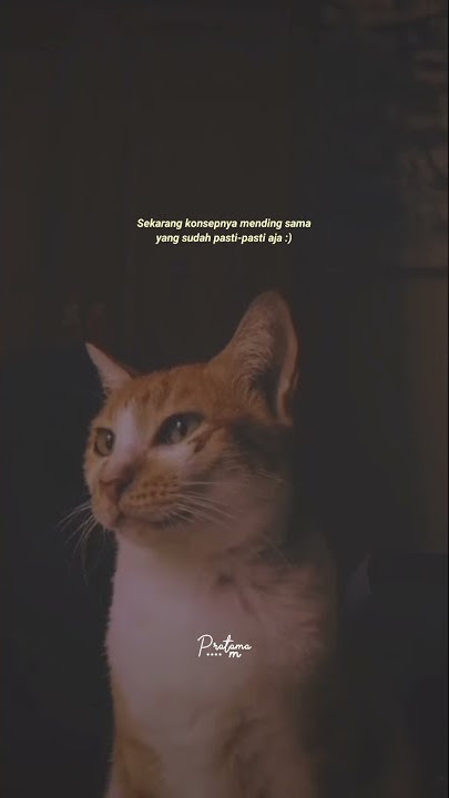 STORY WA DINDA JANGAN MARAH MARAH | STORY WA AESTETHIC KEKINIAN