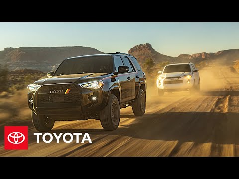 Toyota 4Runner 40th Anniversary Special Edition | “Best Friends” | Toyota