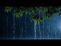 No Ads Rain Sounds for Sleeping - ASMR Rain and Thunder Sounds For Sleeping, Relaxing