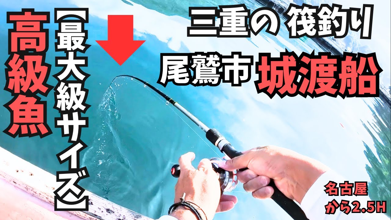 三重の筏釣り【城渡船】有名筏で最大級サイズ高級魚激うまアクアパッツアゴチになります！