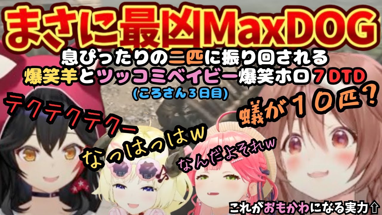 ボケ数怒涛のしばきあげパンチング！笑かす困らす叫び出す！狂犬とかわ狼のMaxDOGで爆笑配信に！【戌神ころね／ホロライブ／大空スバル／ころね切り抜き／さくらみこ／大神ミオ／角巻わため／猫又おかゆ】