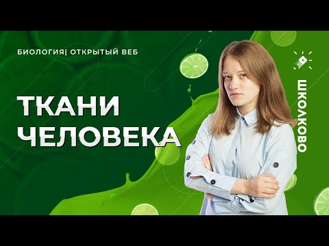 ЕГЭ 2022 по биологии. Анатомия человека: Ткани.