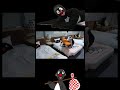 😆→😭 #shorts #pingu #pinguroom #ピングー #池の平ホテル #白樺リゾート #モノマネ #空耳 #亀有工房