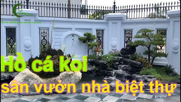 Hồ cá koi sân vườn nhà biệt thự