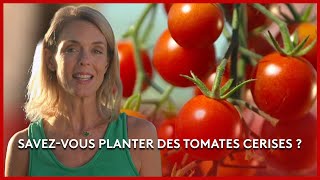 Le potager aquatique auvergnat - Les Potagers de Julie