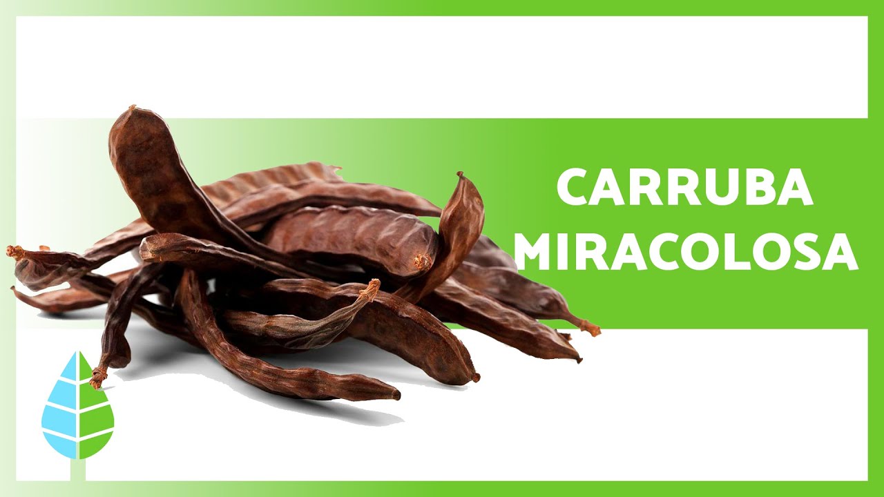BENEFICI della CARRUBA 🌱 (Proprietà + Come fare la FARINA DI CARRUBA ✅)