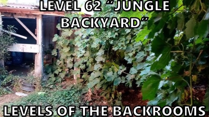 Level 88 - The Backrooms