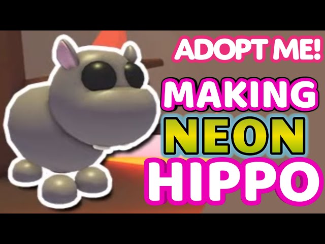 Hippo, Adopt Me! Wiki