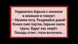 видео: Как Барыня в Конюшне Мужика Захотела! Сборник Свежих Анекдотов! Юмор! картинка: Как Барыня в Конюшне Мужика Захотела! Сборник Свежих Анекдотов! Юмор!