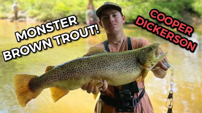 TINY FISHING POLE TROUT FISHING CHALLENGE!!! TROPHY TROUT caught!!! 