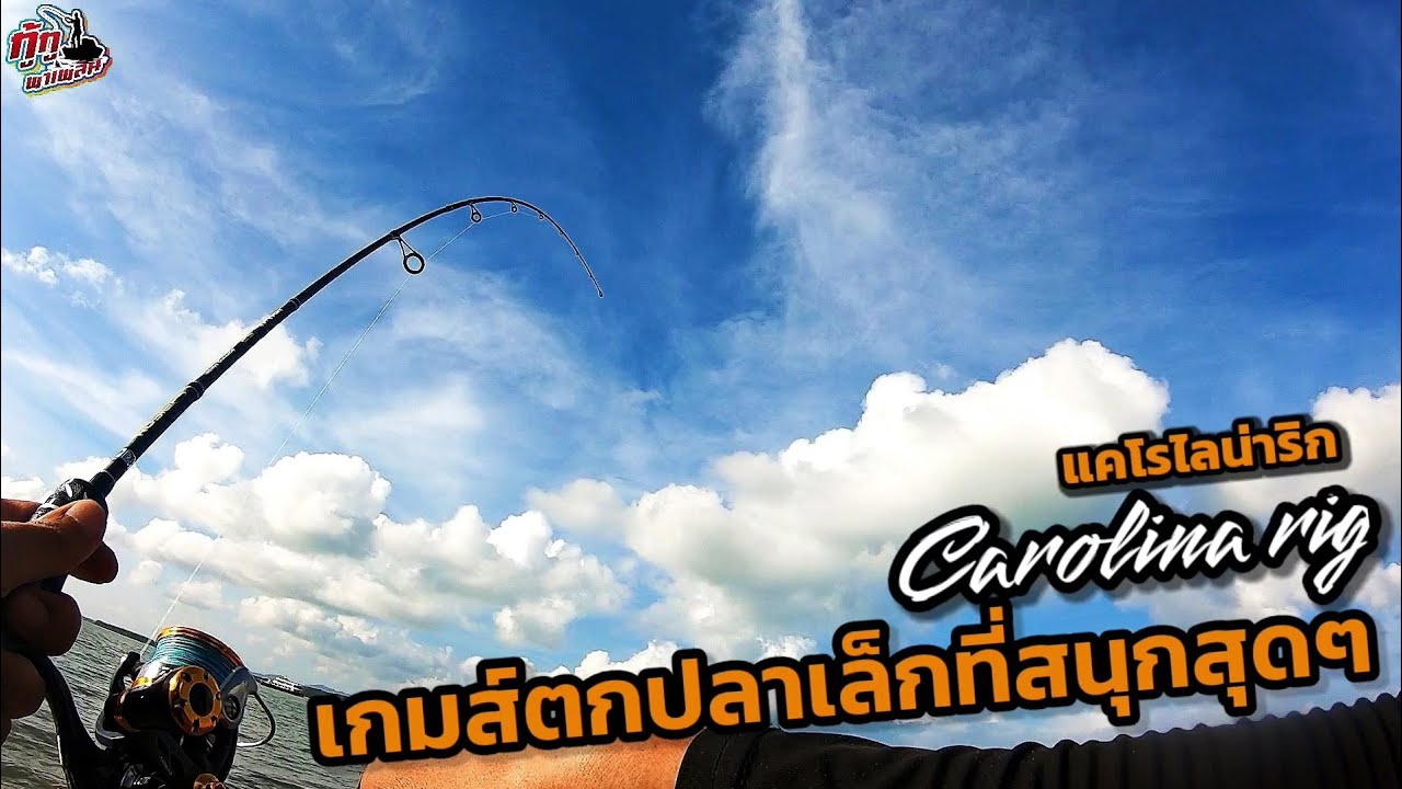 แคโรไลน่าริก ตกปลาเล็กสุดสนุก | กู้กูพาเพลิน