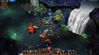 Torchlight - Destroyer with my Permanant Mimic Pet