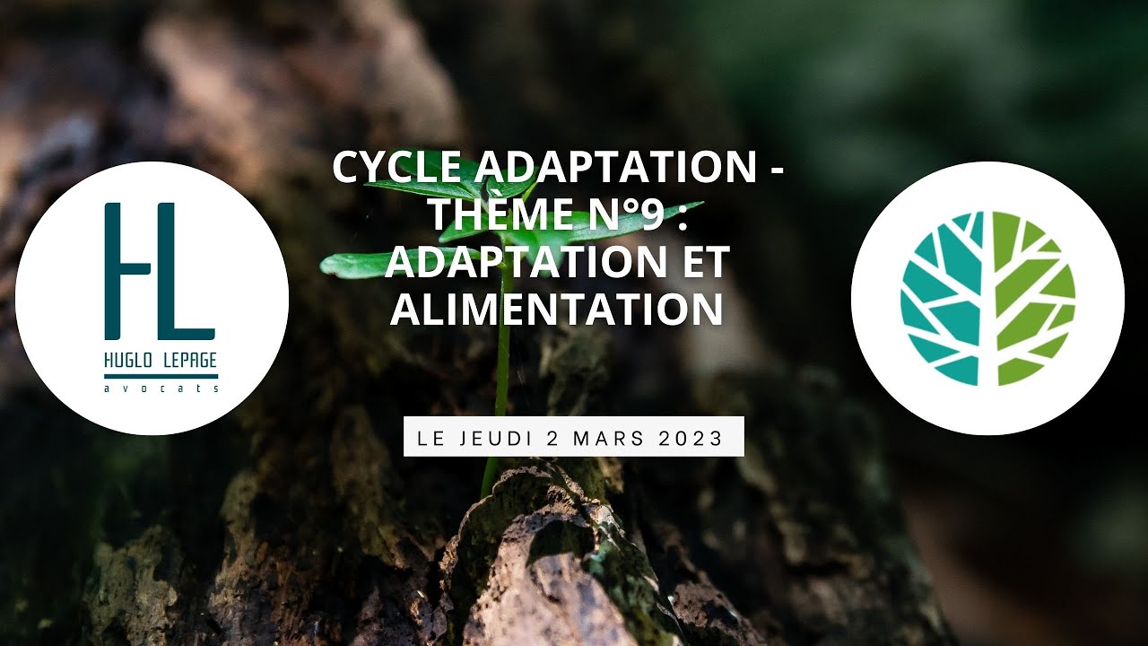 Cycle sur l'adaptation : Thème n°9 - Adaptation et alimentation - YouTube