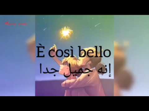 أجمل اغنية بالايطالي مترجمة بالعربية ربما لاني احبك