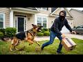 10 Dumbest Package Thieves Caught on Camera #2