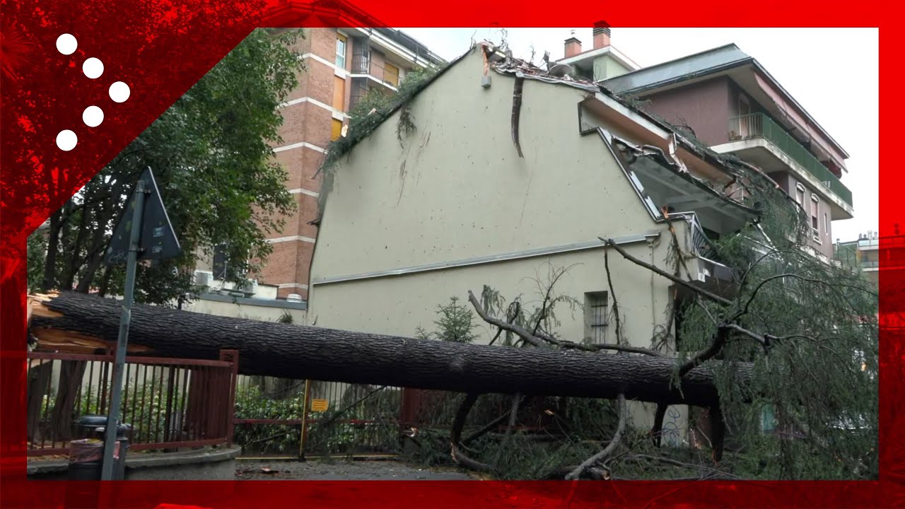 Violento temporale a Monza, albero cade e si abbatte su una casa