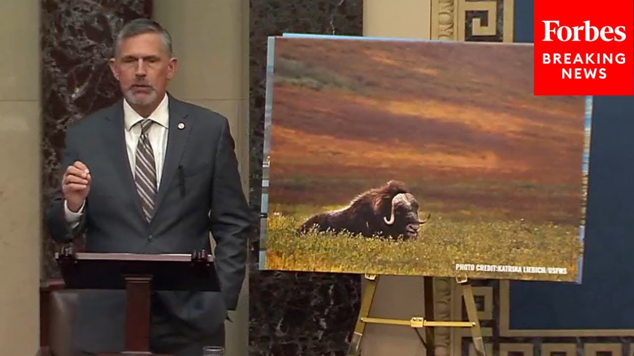 Martin Heinrich Rails Against Trump Administration's 'Relentless ...