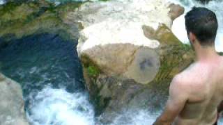 Plongeon Dans La Tinette
