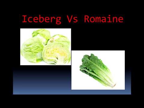 Lettuce Have a Chat - Iceberg Vs Romaine