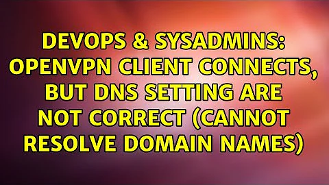 OpenVPN Client connects, but DNS setting are not correct (cannot resolve domain names)