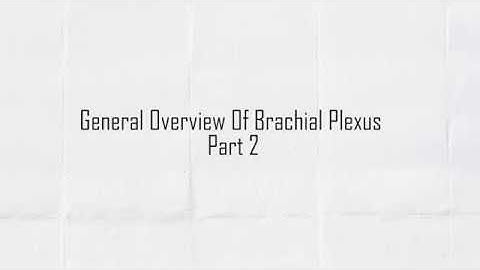 Brachial Plexus part 2