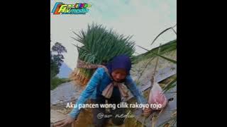 aku pancen wong cilik ra koyo rojo