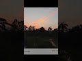 50MP Power on Xiaomi 14 Ultra | Extreme Detail & Sharpness Test