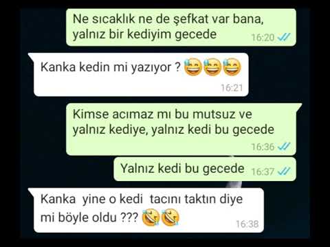 Mucize Ugur Bocegi Ile Kara Kedi Gecenin Kinci Kedisiyim Tubazy Mp3 Indir Mobil Indir