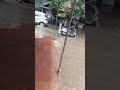 Delhi