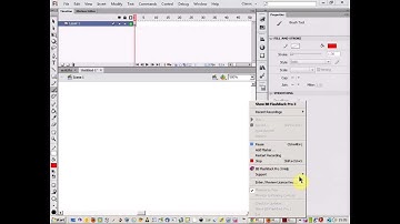 brush tool basics in flash tutorial